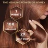 Garnier Whole Blends Honey Treasures Hair Mask for Damaged Hair,