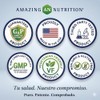 Amazing Nutrition | Quercetin, 500 Mg 120 Caps | Quercetina,