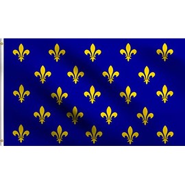 DMSE Blue Fleur De Lis Many France Royal Muti Flag 3X5 Ft Foot 100% Polyester 100D Flag UV Resistant (3' X 5' Ft Foot)