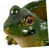 Gatuida Frog Shaped Ceramic Flowerpot Cute Desktop Planter for Succulents