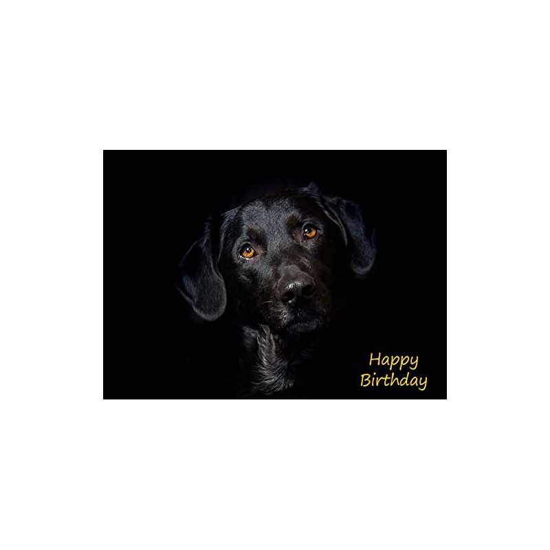 Black Labrador Birthday Card