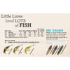Rebel Lures S72274 Hellgrammite Fishing Lure, Mature, 1 3/4-Inch, 3/32-Ounce
