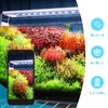 LEDGLE Aquarium Light, 8W, Aquarium Light, 11.8 - 15.7 inches