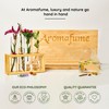 Aromafume Exotic Essential Oil Burner|Oil Diffuser with Candle| Brass