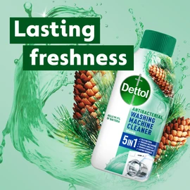 Dettol Dettol Washing Machine Cleaner, 250 ml