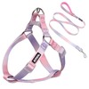 AIITLE Dog Harness and Leash Set - No Pull Pet