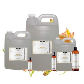 Armoise Essential Oil – Pure Steam Distilled Mugwort Oil from Artemisia Herba – Aromatherapy Oil for Massage – Natural Middle Note with Camphoraceous Sweet Aroma - Morocco - 10ml