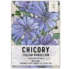 Seed Needs, Chicory Seeds - 500 Heirloom Seeds for Planting