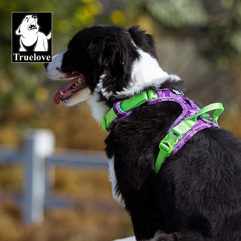 WINHYEPET True Love No-Pull Dog Harness, Adjustable Outer Vest, Reflective
