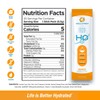 Cellutrex® H2O Electrolytes - Orange | Zero Sugar Electrolyte Powder