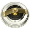 1x Original WAHLER Thermostat 4116.87D1