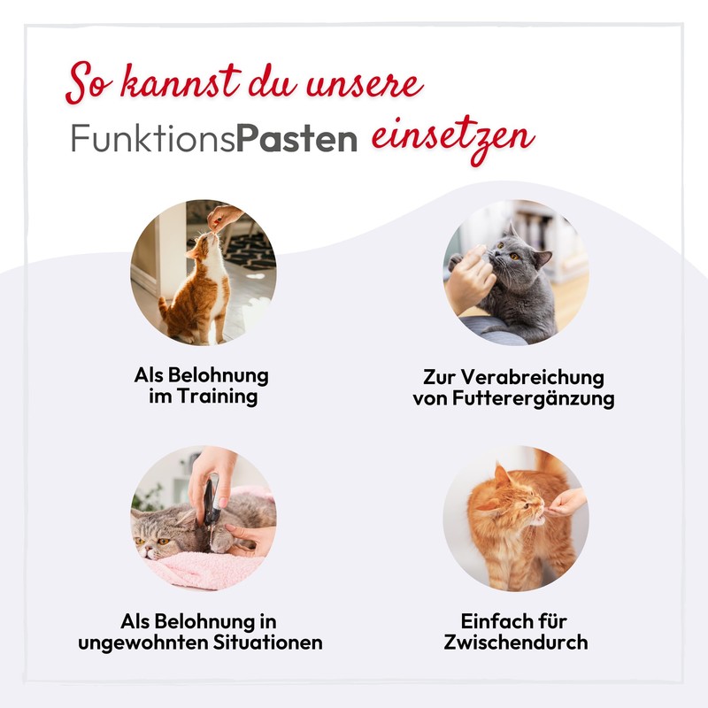 PHA Cat Soothing Paste for Stress, Rest, Anxiety, Marking, New