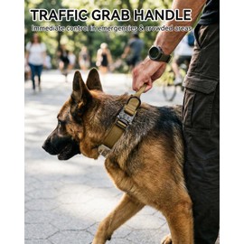 Joytale Tactical Dog Collar with Handle and Metal Buckle, Heavy Duty Padded Military Collar with 2 Patches for Training, Adjustable for Large Dogs, Khaki, L
