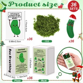 Wonderjune 36 Sets Employee Appreciation Gifts Bulk Emotional Support Positive Affirmation Gifts Thank You Gifts Christmas Appreciation Gifts for Coworkers Staff (Christmas Pickle)