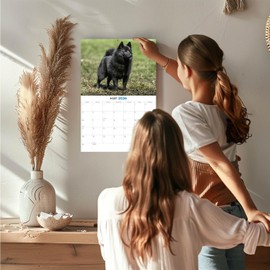 2025 2026 Schipperke Calendar - Dog Breed Monthly Wall Calendar - 12" x 18" Open - Thick No-Bleed Paper - Giftable - Academic Teacher's Planner Calendar Organizing & Planning - Made in USA