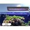 hygger Clip On 24/7 Mode Aquarium Light Adjustable Timer Brightness