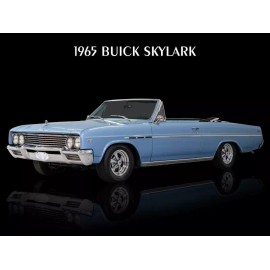 1965 Buick Skylark Convertible New Metal Sign: 12x16" Free Shipping