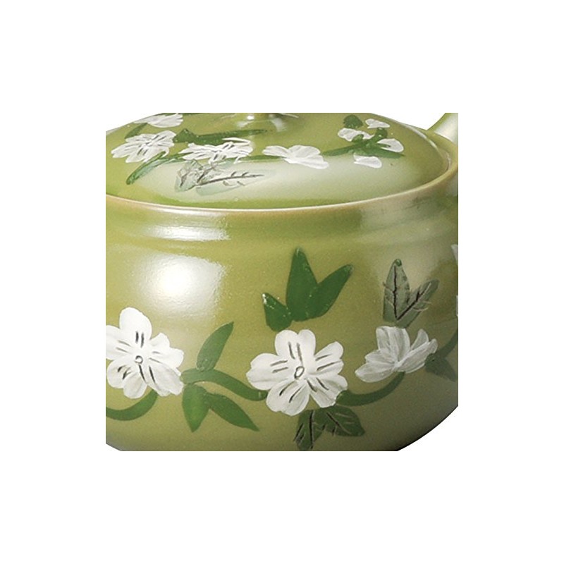 Light Green 急須 Pale Green Sakura Y1047