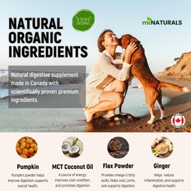 New! miNATURALS Premium Organic Pumpkin Powder Supplement Blend For Dogs, Digestive Support With Organic Pumpkin, MCT Coconut Oil, Flax (Omega 3 Source) and Ginger, Helps With Diarrhea or Constipation