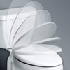 MAYFAIR Toilet Seat will Slow Close and Never Come Loose,