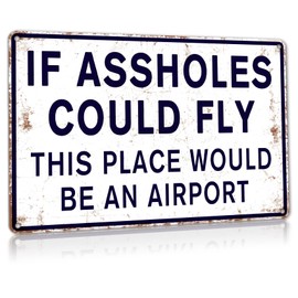ALREAR Funny Signs Man Cave Decor Garage Home Bar Metal Decorations, If Assholes Could Fly This Place Would Be An Airport 12" x 8"