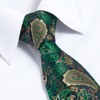 HISDERN Green Ties for Men Paisley Mens Tie Pocket Square
