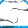 INSTUMAX® 4Pcs SCALER TOWNER/JACQUET