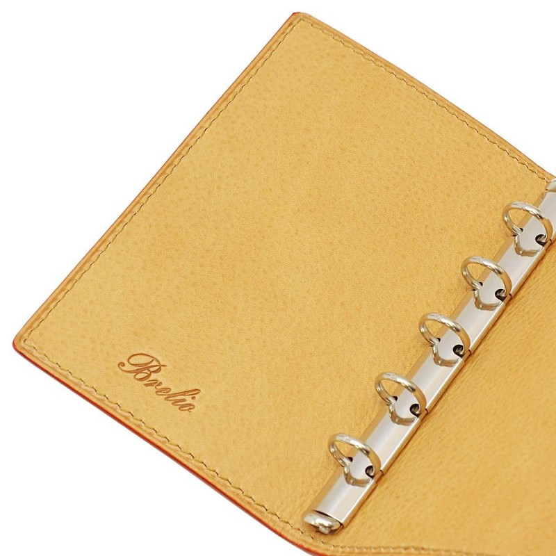 Breilio Minerva Box, Mini 5, 0.4 inch (11 mm) Notebook,