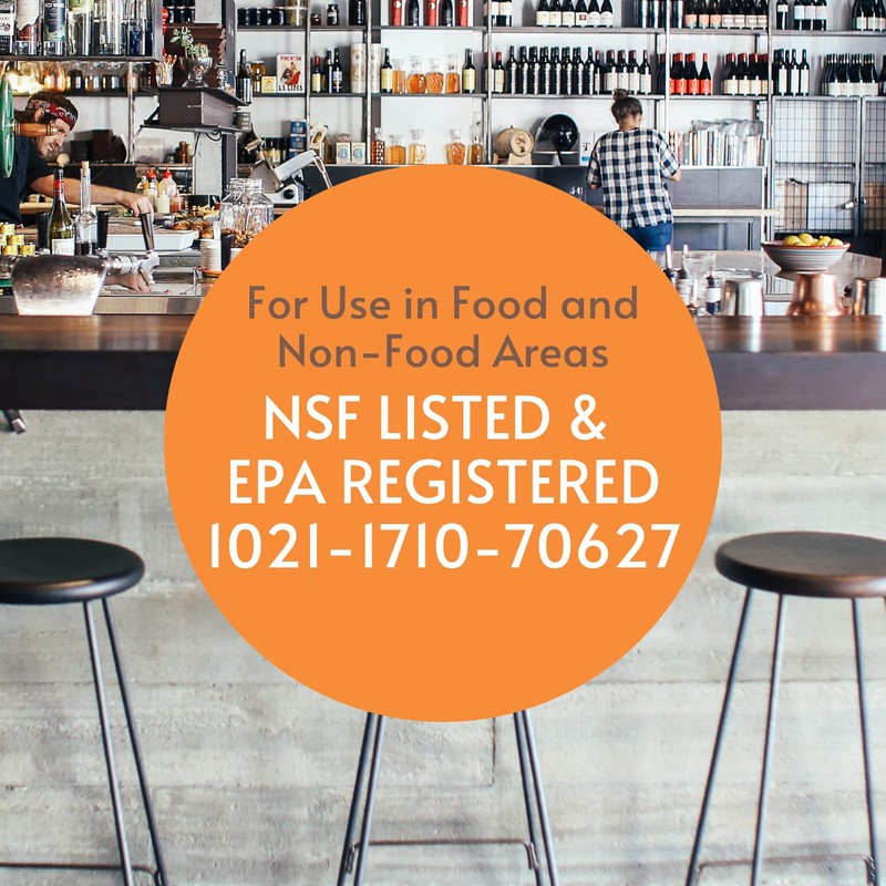 Diversey 5814919 Skidoo Institutional Flying Insect Killer II, EPA NSF