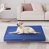 Orthopedic Dog Beds for Large Dogs, Velvet Plush Pet Beds