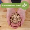 Sow Right Seeds - Bulk Contender Bush Green Bean Seeds