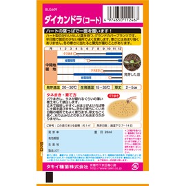 Takii Seedling Daikandra (Coat)