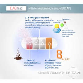 DAOhead- for The Dietary Management of Migraine Caused by DAO Deficiency/Histamine Intolerance - 60 EFICAPS Capsules with Gastro-Resistant Tablets - DAO Enzyme, Vitamin B6, B9, B12 and Caffeine