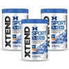 Extend Sports BCAA Powder Blue Raspberry 345g, 3 pieces / 익스텐드 스포츠 BCAA 파우더 블루 라즈베리 345g, 3개