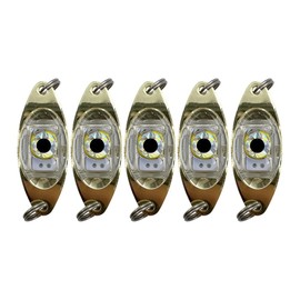 5PCS Fishing Lure Lights,Fisheye Design Underwater Fishing Lamps Underwater Squid Bait Lures for Boat Sea Ice Fishing