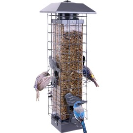 Squirrel Proof Bird Feeders for Outdoors, Metal Wild Bird Feeder for Outside Hanging, 4 Ports Perches, 3LB Large Capacity(Gray)