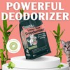 Cat Litter Deodorizer | Odor Eliminator for Litter | Smell