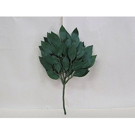 Shizuoka Carpentry 弥栄 cleyera Japonica