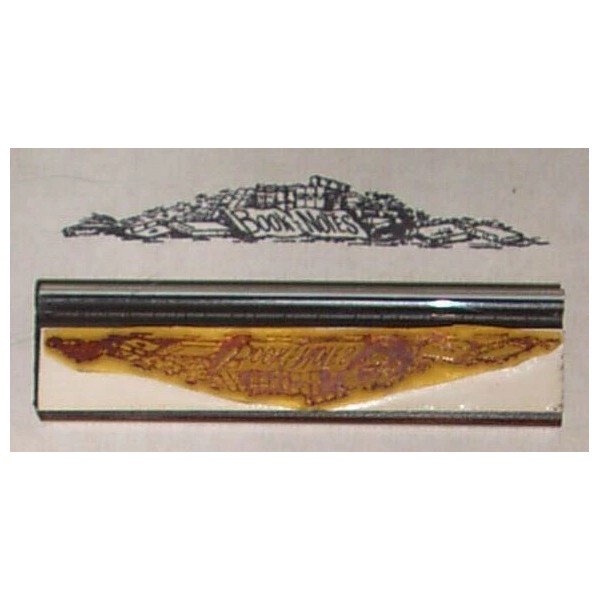 Amazing Arts Book Notes rubber stamp by Amazing Arts great