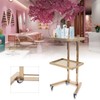 Folding Trolley Barber Beauty Salon Rolling Cart, Gold Moveable Esthetician