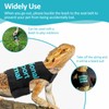Bearded Dragon Lizards Clothes with Leash Set - Cute Lizard