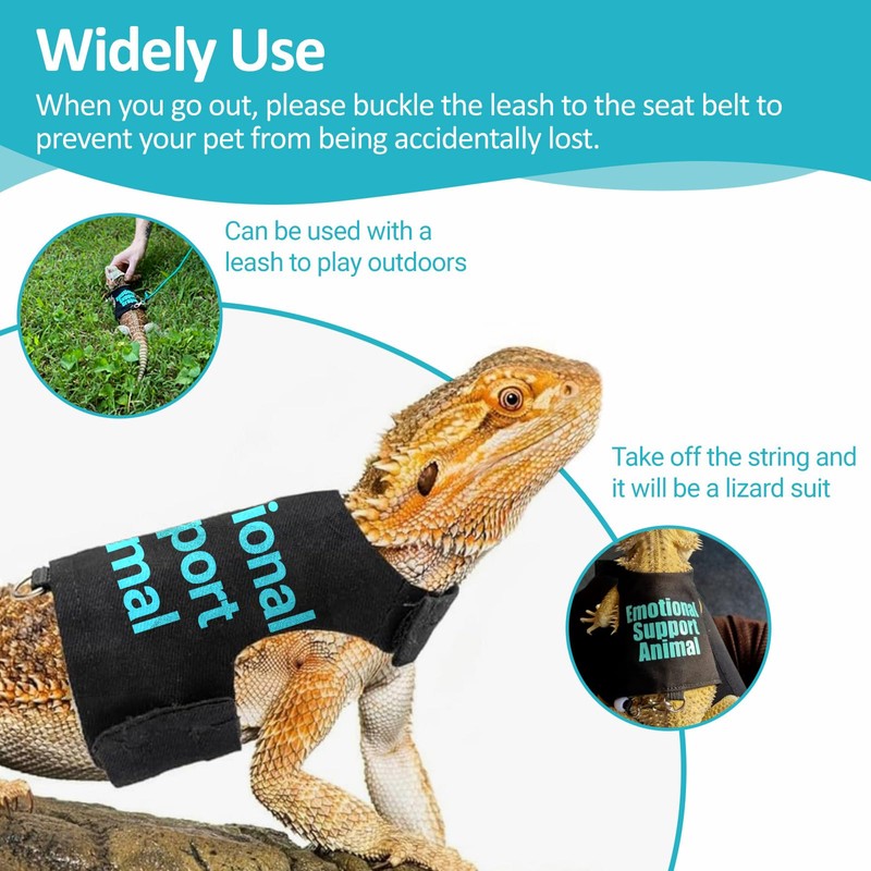 Bearded Dragon Lizards Clothes with Leash Set - Cute Lizard