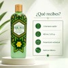 Shampoo Huichol Artesanal De Sabila Anticaida Original 400 ml