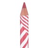 Pastel Show Long Lasting Lip Pencil 204