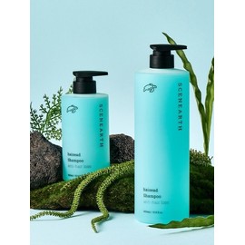 Heseed Gamtae Hair Loss Shampoo / 헤씨드 감태 탈모샴푸