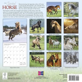 The Spirited Horse 2023 Calendar