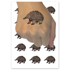 Realistic Echidna Spiny Anteater Temporary Tattoo Water Resistant Fake Body Art Set Collection - 15 2" Tattoos (1 Sheet)