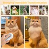 5 in 1 Cat Steam Brush - Self Cleaning Steam
