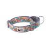 RC Pets 1 1/2" All Webbing Martingale Training Dog Collar,