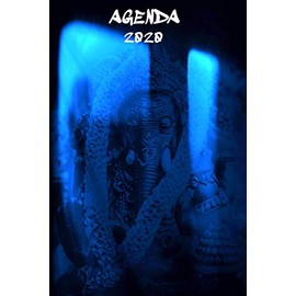 Agenda 2020: Agend 2020 I Personal Jouranl I Week Planner I Goal Planner I Organizer